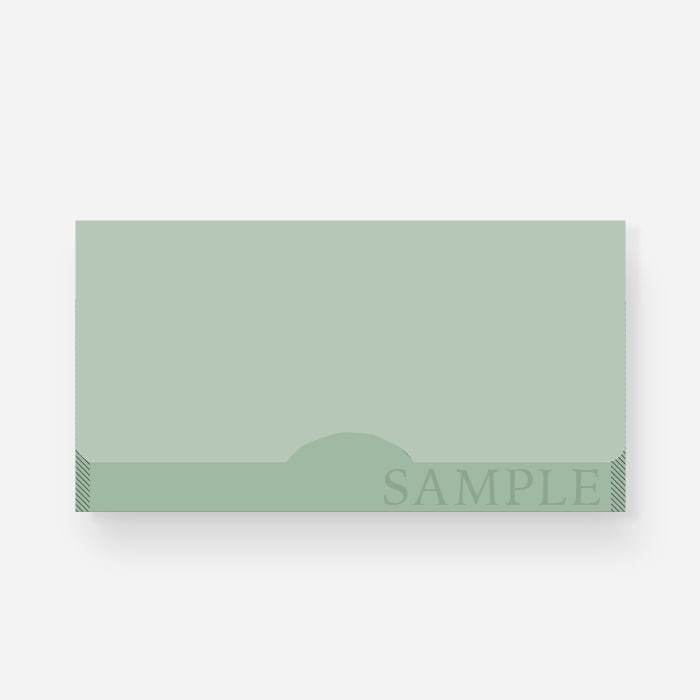 【除菌・衛生ノベルティ】プラスチックマスクケース（シンプル無地3色展開）317-1-001